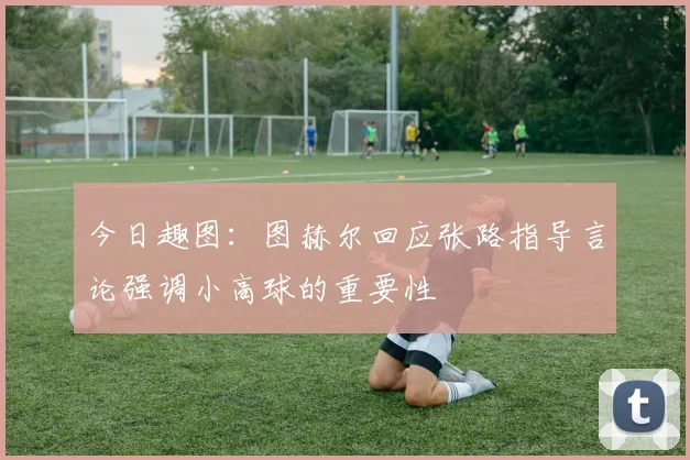 今日趣图：图赫尔回应张路指导言论强调小高球的重要性
