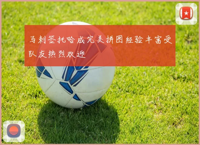 马刺签托哈成完美拼图经验丰富受队友热烈欢迎